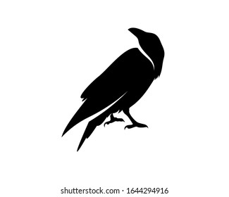 Raven bird logo vector template, Black silhouette of a crow on an isolated background