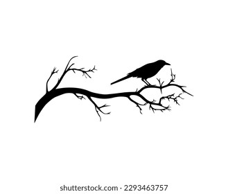 Raven bird on branch, vector. Raven bird on branch in autumn, illustration isolated on white background. Black and white art design.