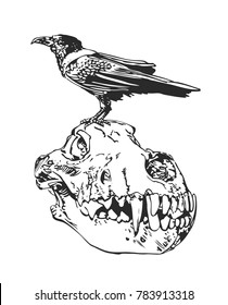 Raven Bird on the Skull Animal Vector