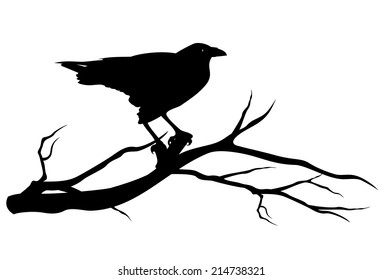 Raven Bird On Tree Branch - Black Vector Silhouette On White