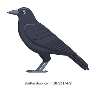 9,674 Rook birds Images, Stock Photos & Vectors | Shutterstock