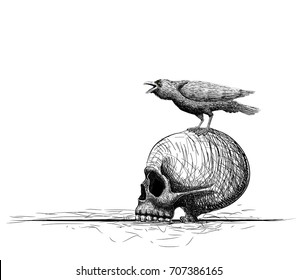 raven bird perch on skull. isolated on white. Hand drawing vector art. Sketch vector illustration. line art composition.