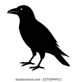 raven bird silhouette vector icon on white background