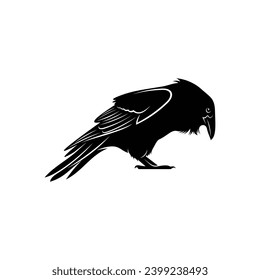 Raven bird silhouette vector ilustration design isolated