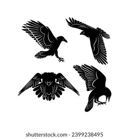 Raven bird silhouette vector ilustration design isolated