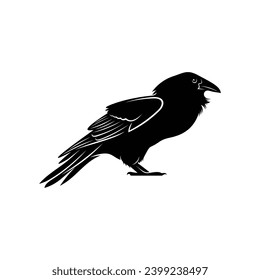 Raven bird silhouette vector ilustration design isolated