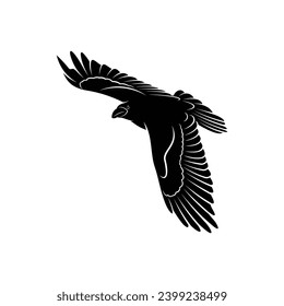 Raven bird silhouette vector ilustration design isolated