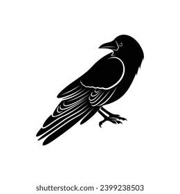 Raven bird silhouette vector ilustration design isolated