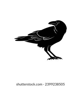 Raven bird silhouette vector ilustration design isolated