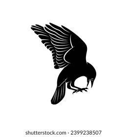 Raven bird silhouette vector ilustration design isolated