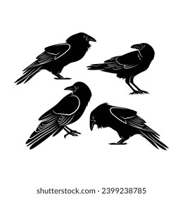 Raven bird silhouette vector ilustration design isolated