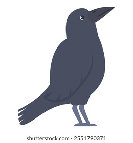 Raven bird standing and looking up, showing curiosity in a simple and minimalist design