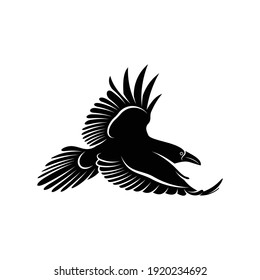 Raven bird vector illustration design