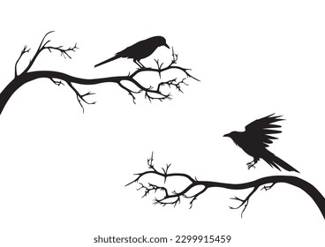 Raven birds on branch, vector. Raven birds on branch in autumn, illustration isolated on white background. Black and white art design.