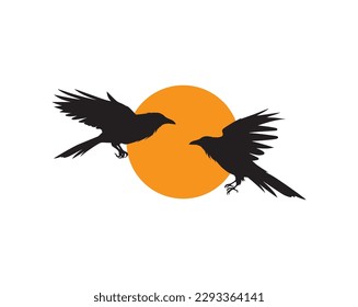 Raven birds silhouette flying on the moon, vector. Two flying raven birds illustration isolated on white background.