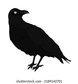 Raven Black Bird Dark Vector