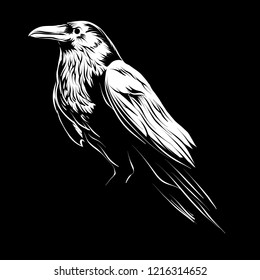 Raven Black White Illustration vector on dark background