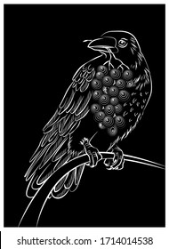 Raven with a bunch of grapes. Vector illustration