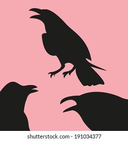 Raven, corbie