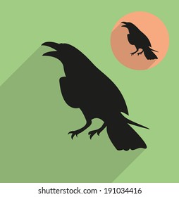 Raven, corbie