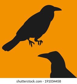 Raven, corbie