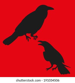 Raven, corbie