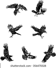 raven, crow, black, vector, drawing, decorative, ornamental, wild, sign, symbol, isolated, illustration,