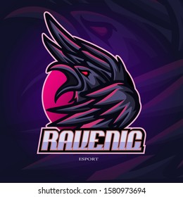 Raven crow mascot esport logo design 