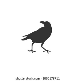 Raven, crow silhouette vector on a white background