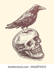 Raven, crow sitting on human skull. Hand drawn vector art. Sketch vector illustration