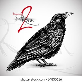 Raven drawing 2 high quality vector