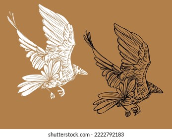 Raven drawn in ink. Bird silhouette. Crow sketch. Tattoo. Ornithology. Bird. Black Raven.
