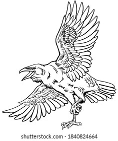 A raven in flight. Flying large bird. Hand drawn crow. Outline tattoo style vector illustration
