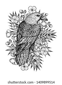 Raven and flowers hand drawn illustration. Tattoo vintage print. Hand drawn floral print. Tattoo design.