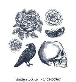 Raven, flowers, human skull and moth. Halloween horror design kit. vector illustration