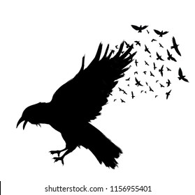 Raven Flying . Black raven isolated on white background. Hand drawn crow.