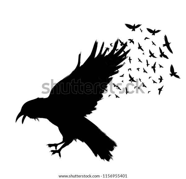 Raven Flying 白い背景に黒いカラス 手描きのカラス のベクター画像素材 ロイヤリティフリー