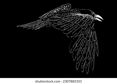 raven flying hand drawing vector isolated black background 