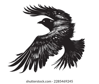 Raven flying silhouette hand drawn sketch illustration