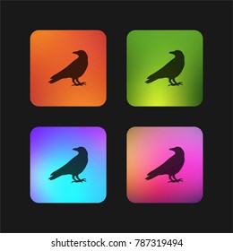 Raven four color gradient app icon design