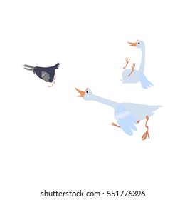 Raven and geese