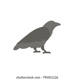 Raven halloween flat icon