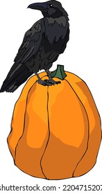 Raven for Halloween vector image