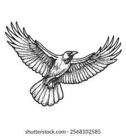 Raven Hand-Drawn Vector, Graphic Style, Cartoon Illustration, Black and White, Sketch Style, Isolated on White Background