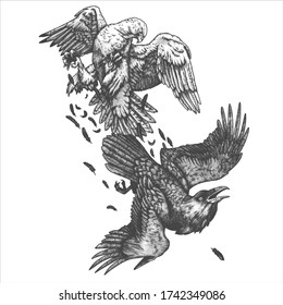 The raven and the hawk. Vector. Dotwork. 