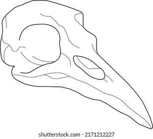 
raven head design on white background