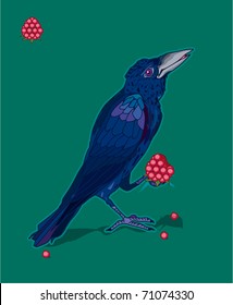 Raven holding a claw berry. Vector illustration