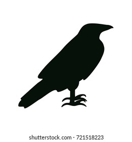 raven icon