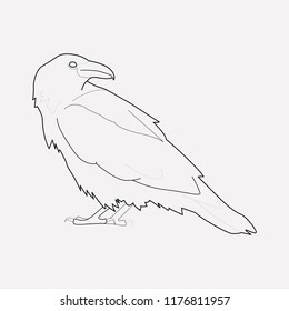 Raven icon line element. Vector illustration of raven icon line isolated on clean background for your web mobile app logo design.