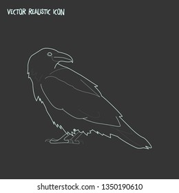 Raven icon line element. Vector illustration of raven icon line isolated on clean background for your web mobile app logo design.